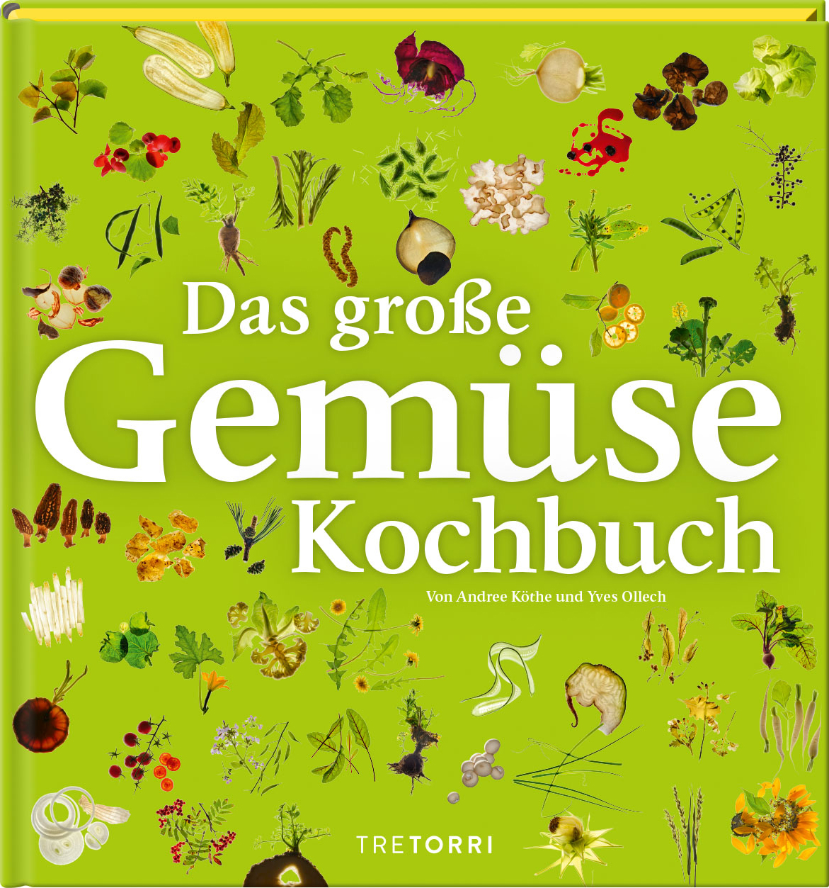 Köthe, Andree/Ollech, Yves - Das große Gemüsekochbuch